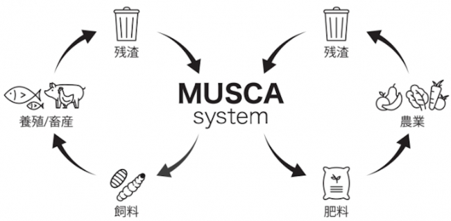 MUSCA System