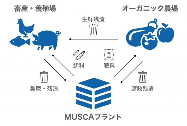 ムスカのプラントを利用した、農業の完全循環システム