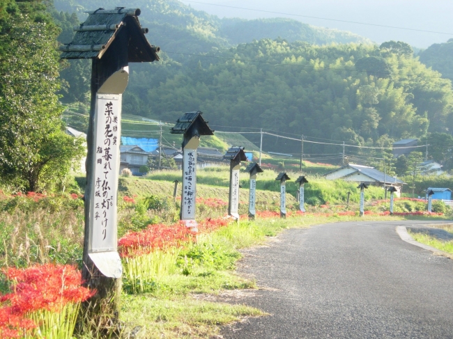 「宮若全国俳句大会」入選作品の句碑が並ぶ「俳句の道」。鮮やかな彼岸花に心癒される田園風景が広がります