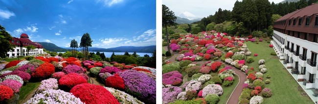 “小田急 山のホテル”のツツジ庭園と芦ノ湖　　　　　　　　　富士山を背景に咲き誇るツツジ