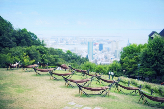 芝生広場で人気のハンモック