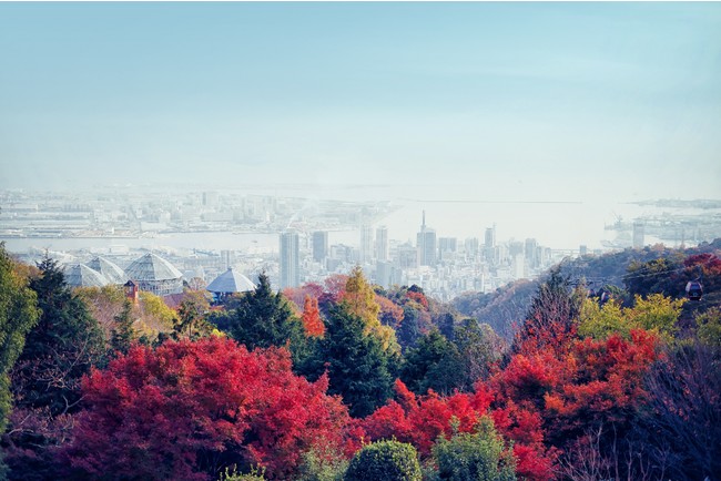 標高約400mの展望プラザからの紅葉