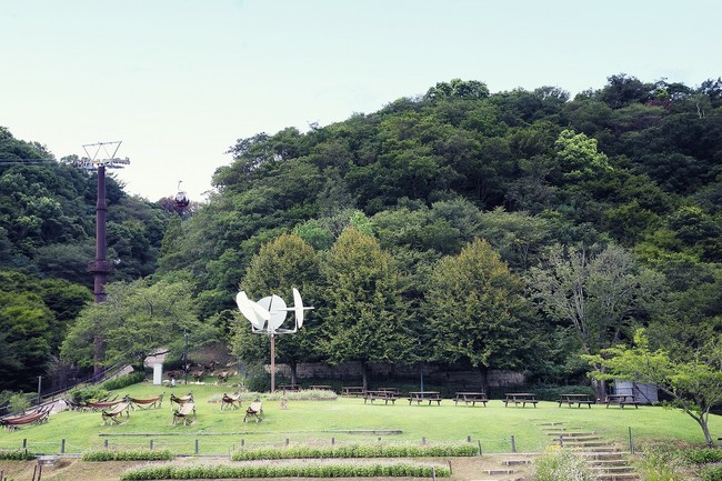 風の丘芝生広場