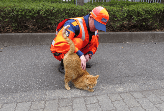 JAF隊員と猫