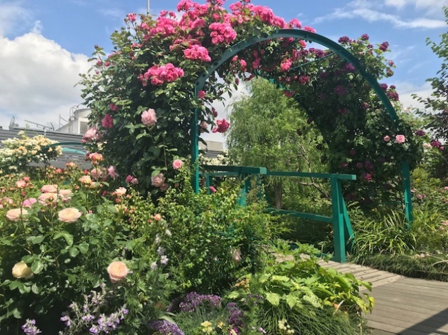 IKESEI ROSE GARDEN