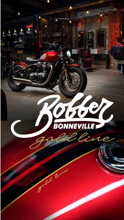 Bonneville Bobber Gold Line Edition