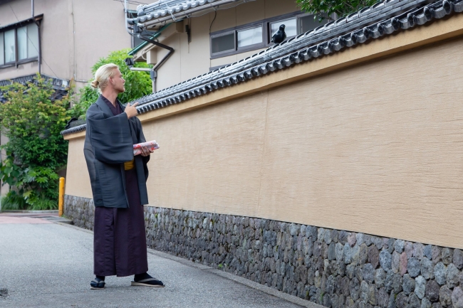 “微動だにしない鳩”