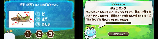 【クイズ・豆知識画面。分からなければ「ずかん」に戻って確認することもできます！】