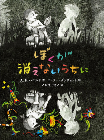 ぼくが消えないうちに　作／Ａ．Ｆ．ハロルド 絵／エミリー・グラヴェット 訳／こだま　ともこ　（ポプラ社）