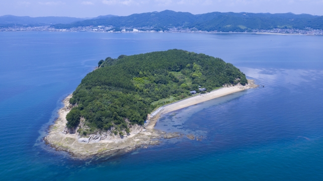 くじら島全景