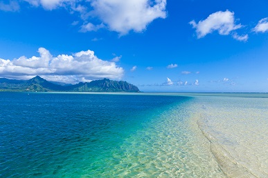 天使の海