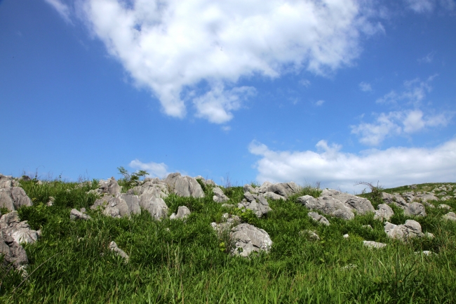 秋吉台（イメージ）