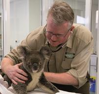 Currumbin Wildlife Sanctuary