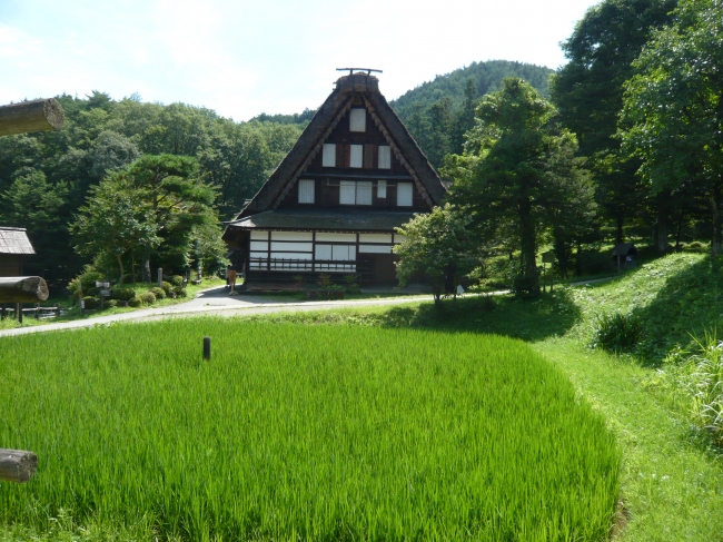 会場には、茅葺の合掌造りが並ぶ