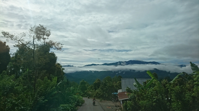 農園のあるエンレカンの自然に囲まれた風景（標高約1000m）