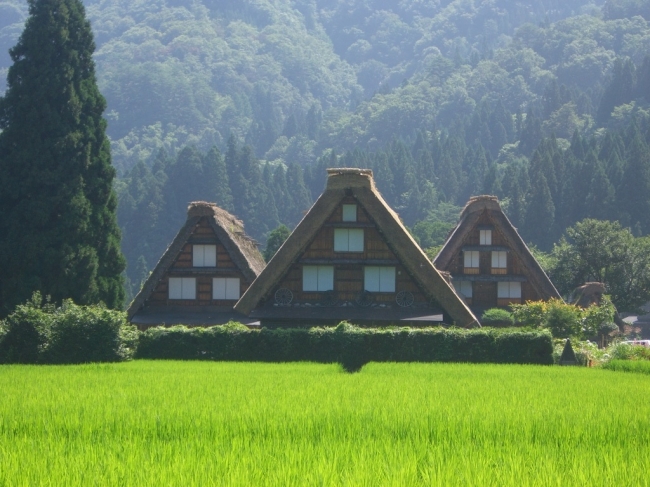 「白川郷の合掌造り（7月頃）」