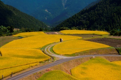 八重地（やえじ）の棚田