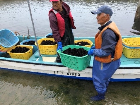 洋野町の漁師