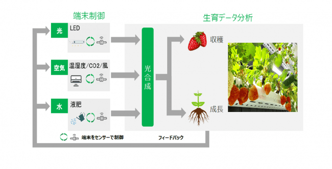  （トライアルイメージ図）