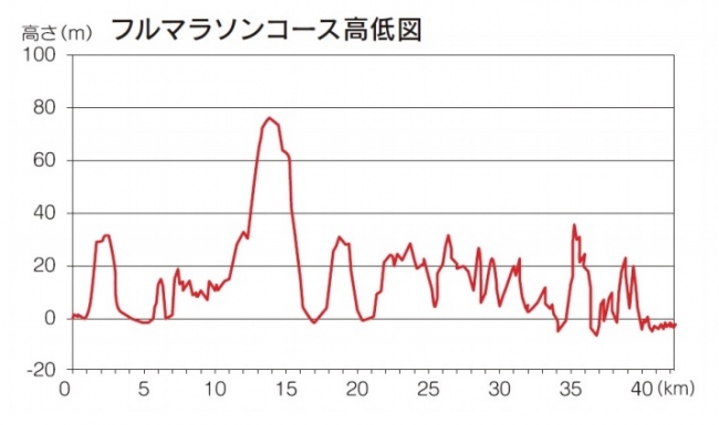 フルマラソンコース高低図