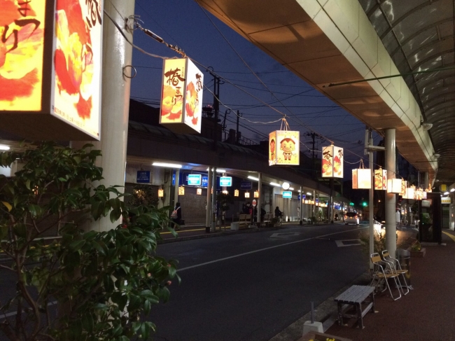 福江商店街写真2（五島椿まつり時：夜）