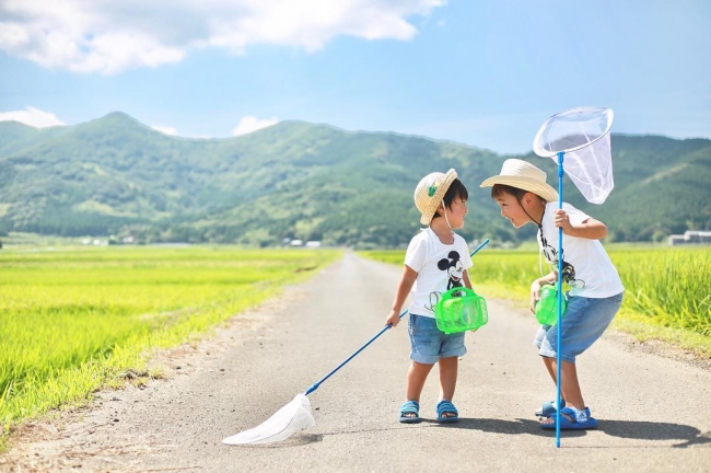 虫採りも楽しい。