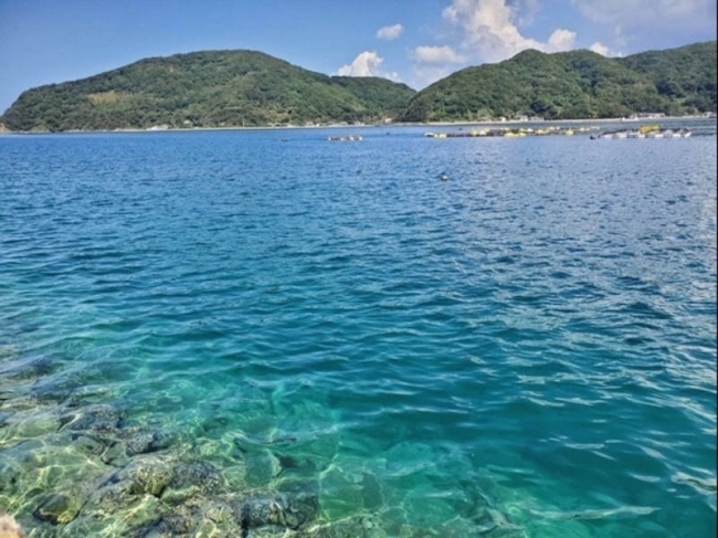 奈留島の海