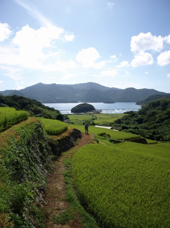 国の重要文化的景観「久賀島」の棚田