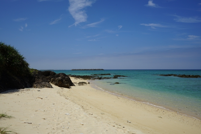 海亀がやってくる宿の前の海