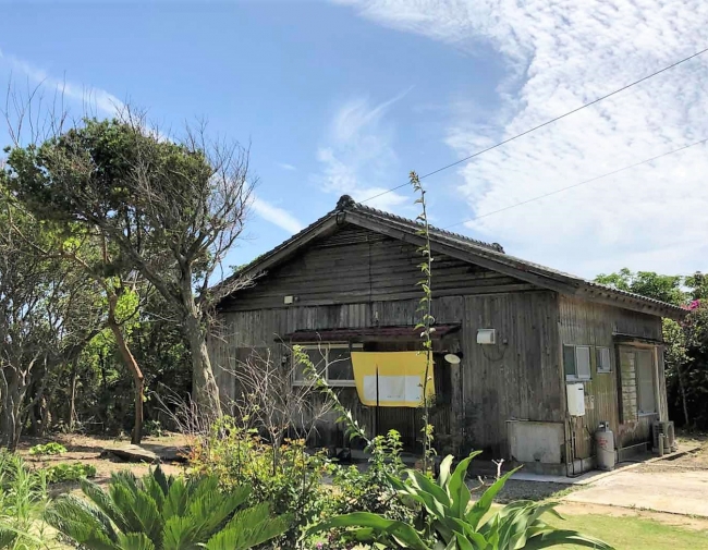 伝泊・徳之島「海亀ビーチの宿」