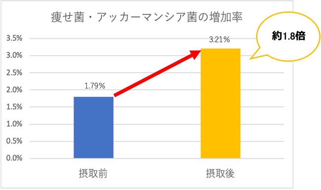 痩せ菌・アッカーマンシア菌の増加率