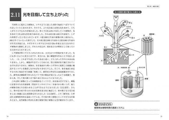 本文p54-55より