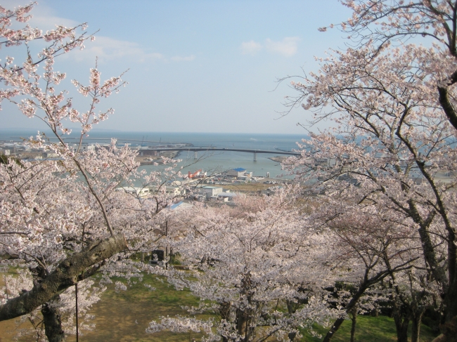 石巻観光協会