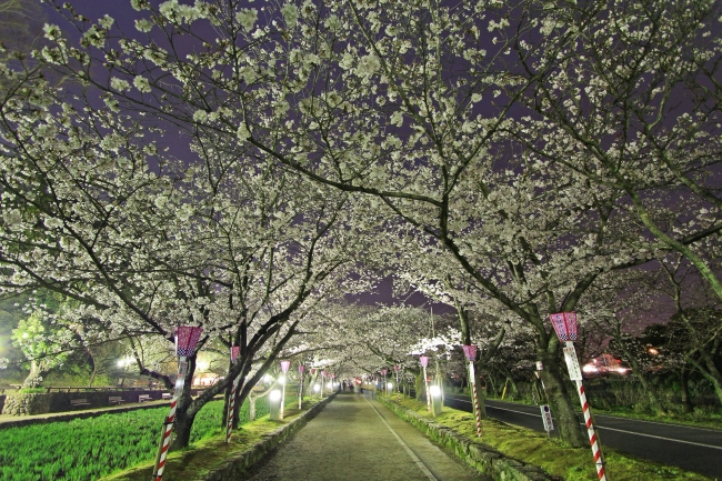 大村市観光コンベンション協会