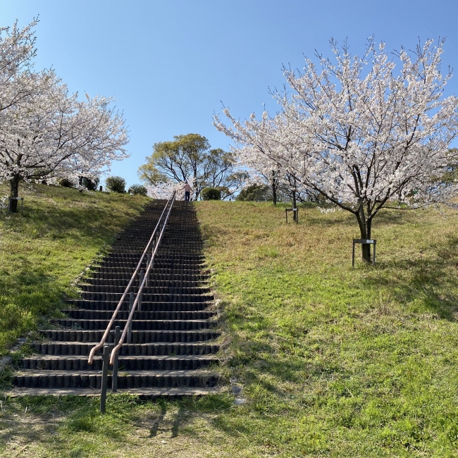 福山観光コンベンション協会