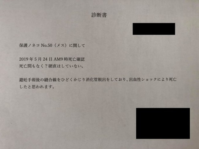 不可解な行政指定獣医の診断書　