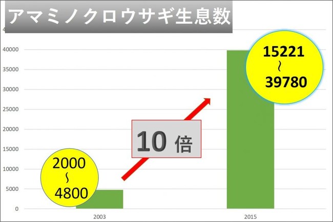 猫の駆除無しでクロウサギ激増