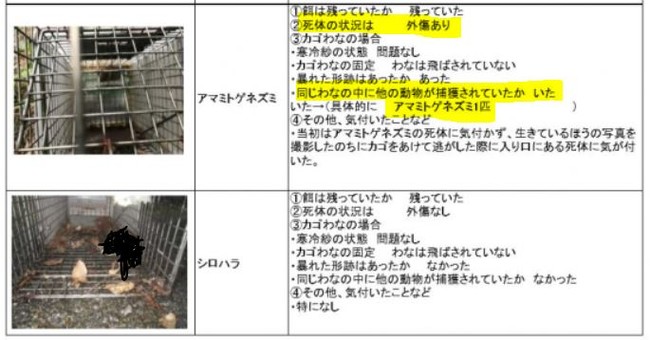 ※環境省に誤捕獲されて死亡した絶滅危惧種の報告書