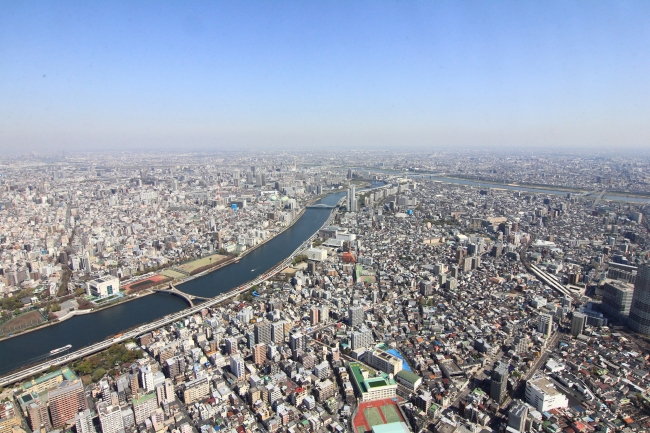 晴れた日に園から見える景色