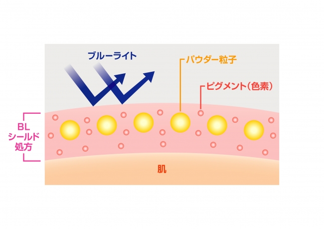 BLシールド設計 イメージ図