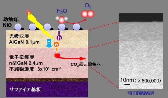 光電極の断面構造