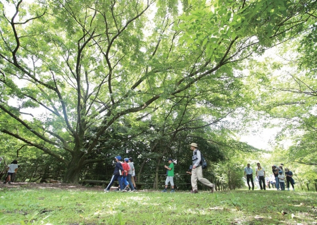 パナソニック AP社 草津拠点構内にある「共存の森」（1）