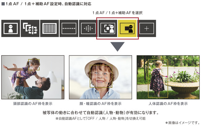 「1点AF」、「1点＋補助AF」設定時の自動認識AFに対応