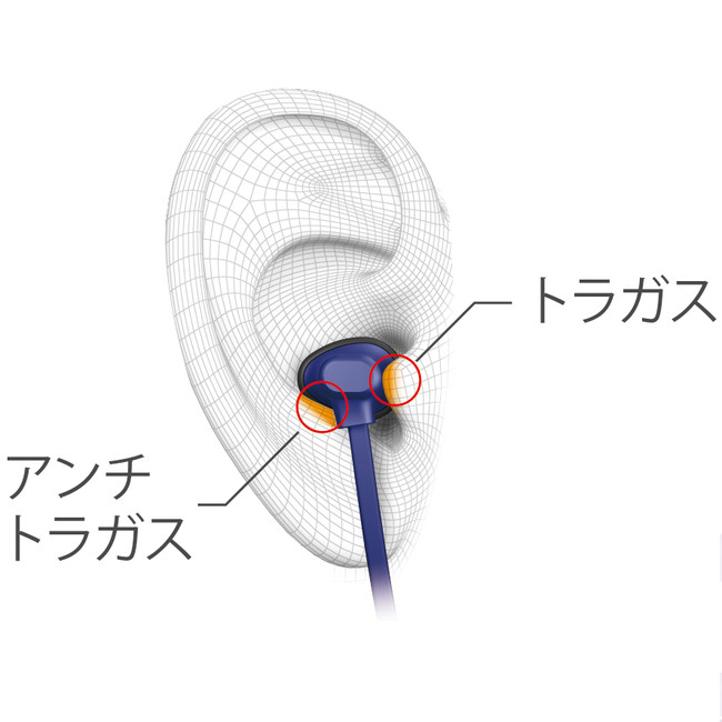 ダブルホールド形状