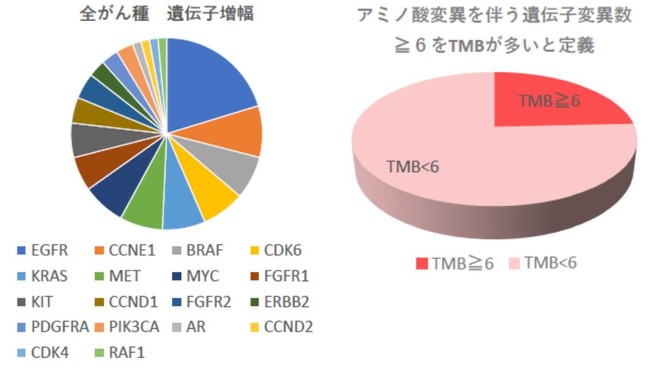 遺伝子増幅とTMB