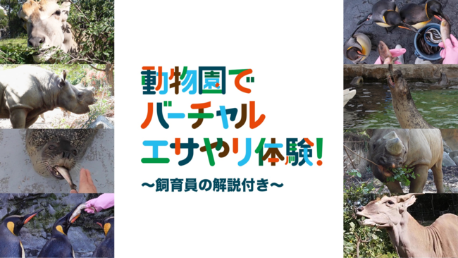 動物園でバーチャルエサやり体験　 12月21日配信スタート！