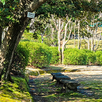 くちなし公園