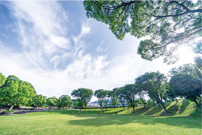 横浜市清水ヶ丘公園