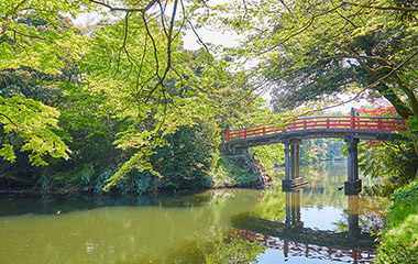 高岡古城公園