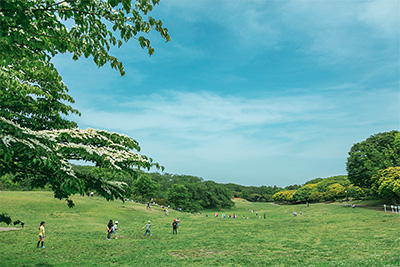 根岸森林公園